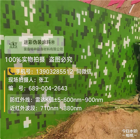 济宁星空迷彩漆，夏令营训练,数码迷彩作训墙,围墙